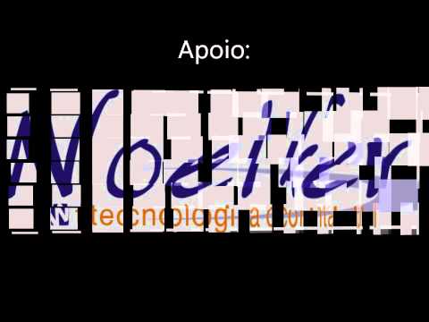 Redes Sociais - Woelfer Tecnologia Contábil