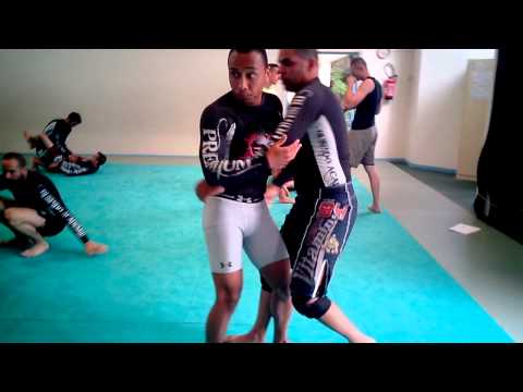 preparation passage de grade bushido academie