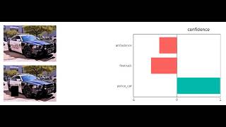 Which visual evidence leads to a classification?