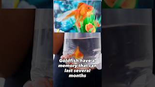 10 Surprising False Facts Everyone Still Believes