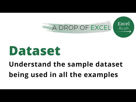 A Drop of Excel | Understanding the dataset used in the examples