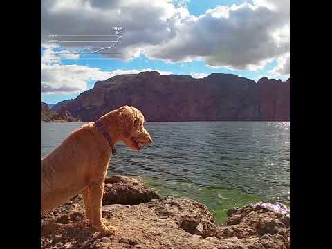 Best Lake Views in AZ-Butcher Jones Trail                     #hiking #arizona #views