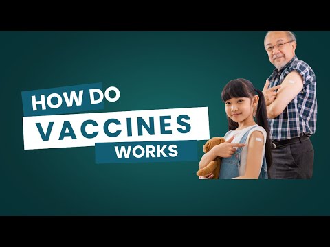 How Do Vaccines Work | How Vaccines Protect Us | Easy Explanation | STEM Science