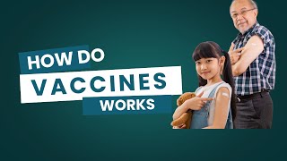 How Do Vaccines Work | How Vaccines Protect Us | Easy Explanation | STEM Science