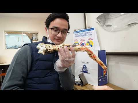 Moments in Osaka | Japan Vlog