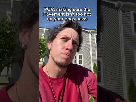 Protect our dog frito paws at all costs! #dog #dogdad #dogfunny #dogs #dogparents #goldenretriever