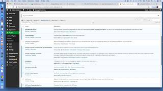 Wordpress Website Protection
