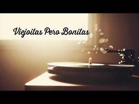 La Vida Desde el Volante 🌅 Un Viaje Lento, Lleno de Sentido