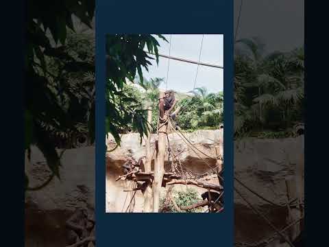 Kodak Ultramax 400 Review & Photos! #KodakUltramax400 #Kodak #filmphotography