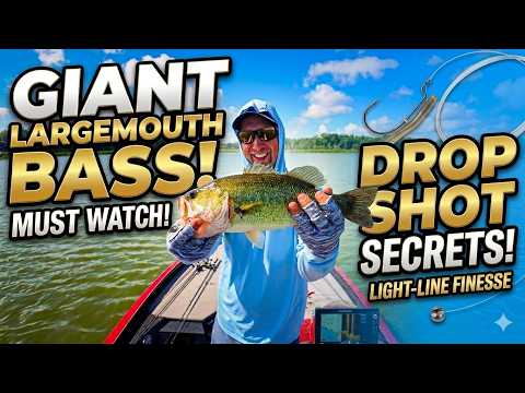 Largemouth Bass in Summer Heat — Finesse Combo That Actually Works