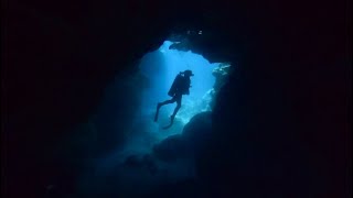 Spirit of Freedom Australia: Coral Sea and Ribbon Reefs