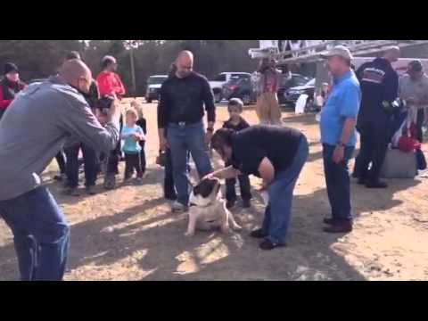 Firetruck at Hometown Heroes Kids Day in Charlotte NC