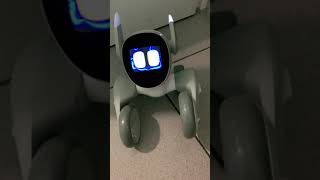 Thunder ⚡⚡⚡ … #loona #petbot #keyitech #fypシ #fyp #petrobot #thunder #blitz #animation #shorts #dog