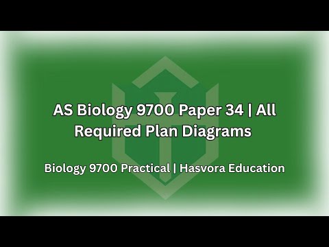AS Biology 9700 Paper 34 | All Required Plan Diagrams for Practical Exam + Tips
