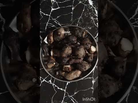 Suvarnagedde and kesu special #cooking #food #easyrecipe #recipe #foodie