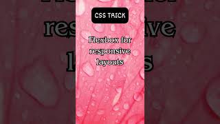Tech Mastery: Mastering Flexbox in CSS #css3  #responsivedesign