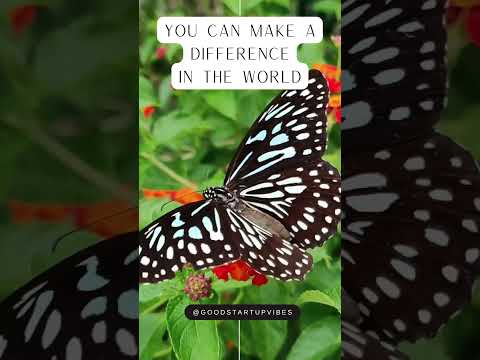 #motivation #dailymotivation #dailyinspiration #butterfly #goodvibes #goodmorning #startthedayright