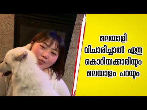 Malayalam speaking Korean Girl|കൊറിയൻ മലയാളം|Perfect ok Korean|Canadian Korean girl Iconz Media Hub