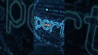 Top 5 Fiverr Logo Designers You Must Check Out in 2025