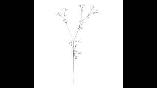 Recursive Tree V (Plant)