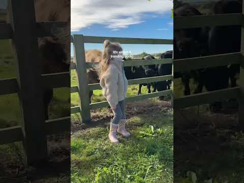 this 🥹 #countryside #countrylife #countryliving #wholesome