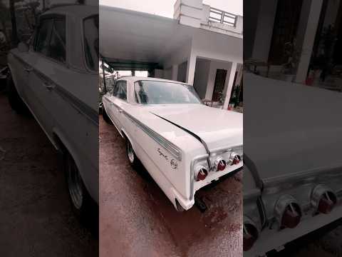 Can u guss this beast ?