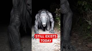 4 Ancient Creatures Still Roaming Earth Today