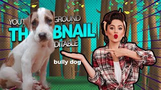 dog bully vigos #dogs_of_instagram #dog_features #prilaga #dogadventures #prilaga