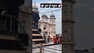 Raja🌷Sahib🌷 Ji🙇✈️#rajasahib #whatsappvideostatus