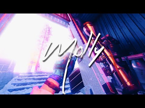 Molly | COD Sniping Montage