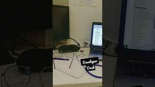 SOFTWARE DEVELOPER DESK AND HARD WORK