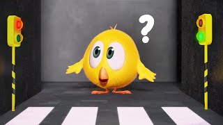 Red light, Green light | Where's Chicky? | Cartoon Collection in English for Kids | New episodes HD