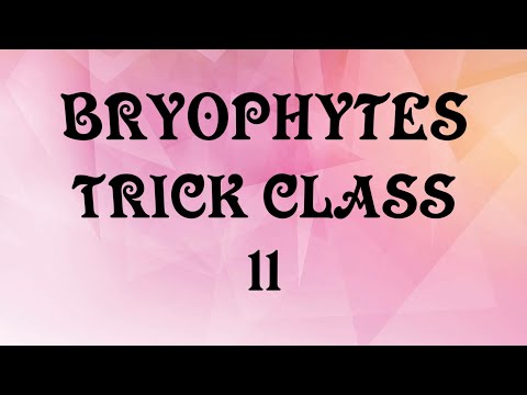 Bryophyte trick class | 11 chapter  3 NEET