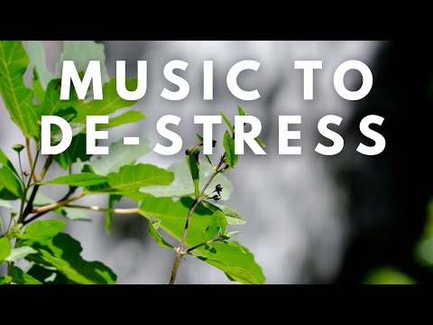 Relaxing Background Music to De-Stress | Calm & Peaceful Instrumentals