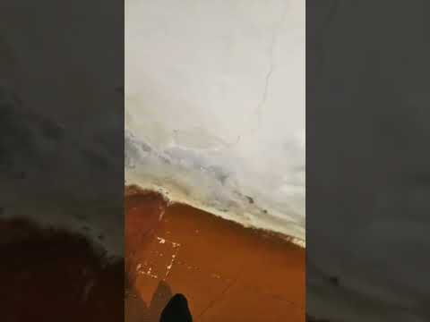 2 день Эль папо