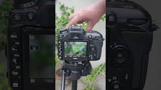 Nikon D7500 DSLR Camera Photography 📸🔥 #shorts #tranding #nikon #photography