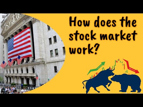 How Does the Stock Market Work?