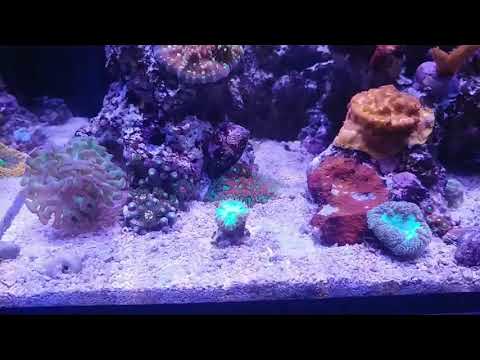 Rico's nano challenge 2018