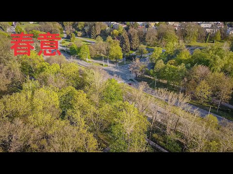 [Mavic Mini練習]春光明媚 Hello Spring!
