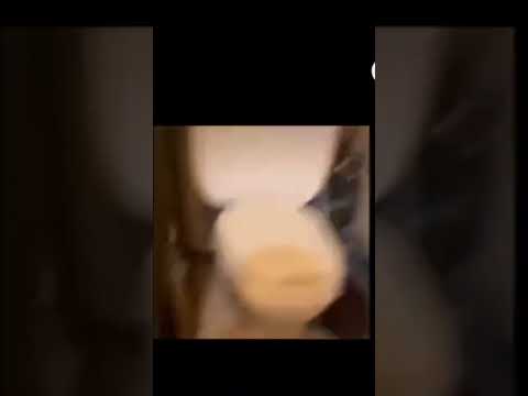 #memes #funny
