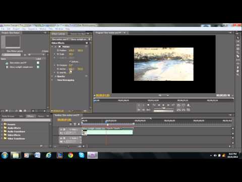 How to Rotate a Video in Adobe Premiere Pro