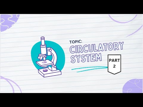 HISTOLOGY 101: CIRCULATORY SYSTEM (PART 2)