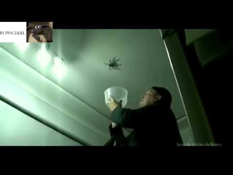 Shot on iPhone meme by Pinguuu