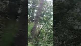 #shortvideo #pannanationalpark #adventure