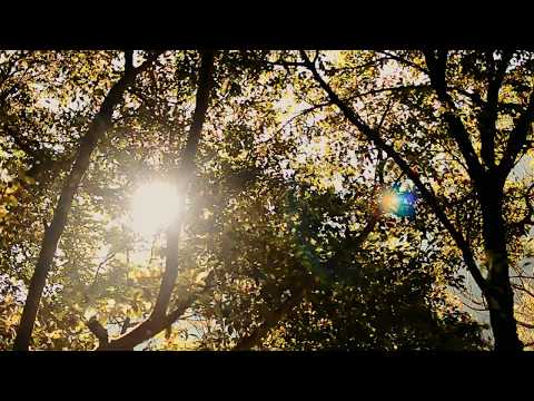 The Moment Seizes Us