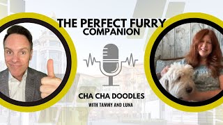 Allergen-Free: Introducing Cha Cha Doodles in Beverly Hills!