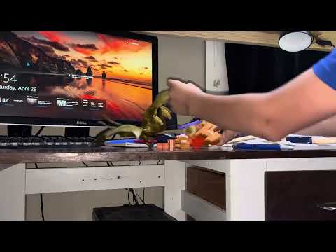 Dragon And Dinosaur Attacks City, But Motorcycle Guy And Monkey Saves The Day
