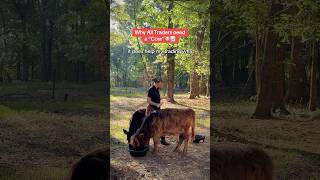 Why every Trader needs a Cow #daytrader #tradingtips