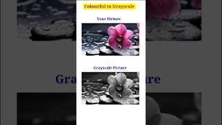 Colourful to Grayscale | python tkinter #tkinterapp