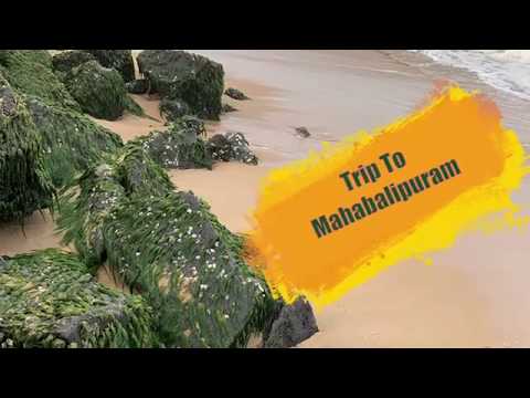 Mahabalipuram Trip
